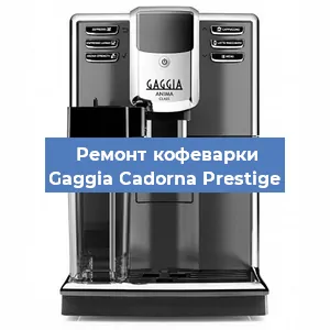 Замена прокладок на кофемашине Gaggia Cadorna Prestige в Челябинске